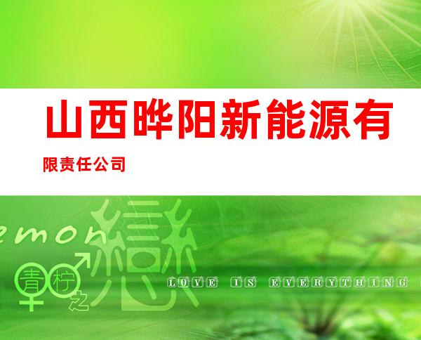 山西晔阳新能源有限责任公司